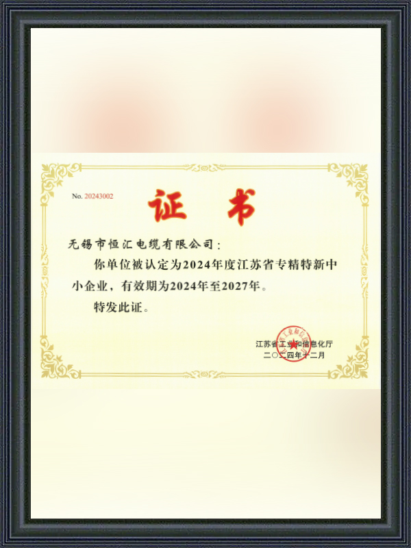 专精特新中小型企业证书